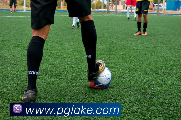 pg电子平台生态图